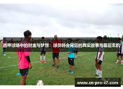 西甲球场中的财富与梦想：球员转会背后的真实故事与幕后玄机