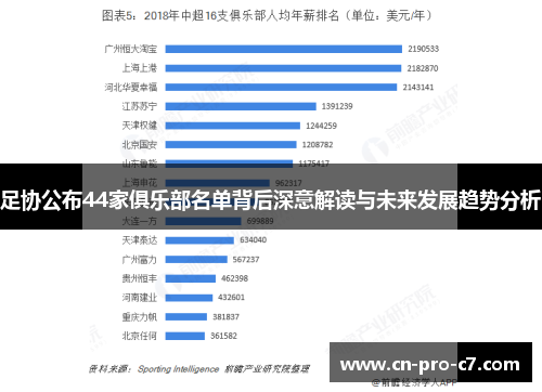 足协公布44家俱乐部名单背后深意解读与未来发展趋势分析