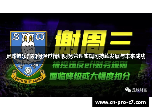 足球俱乐部如何通过精细财务管理实现可持续发展与未来成功 足球俱乐部如何通过精细财务管理实现可持续发展与未来成功
